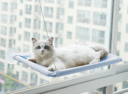 Cat Window Bed Hammock Swing Hanging Suction Cup