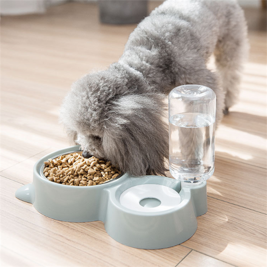 Food & Water Bowl With Automatic Water Refill Bottle