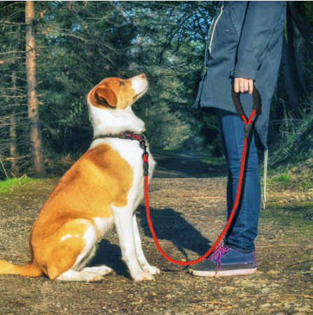 Premium Reflective Dog Lead Nylon Soft Handle