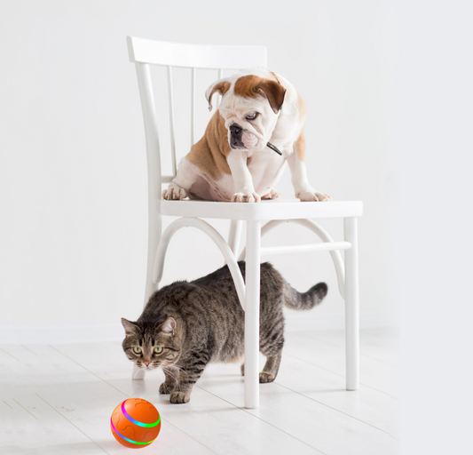 Intelligent Dog/Cat Ball Toy USB Self Rotating Ball Smart Automatic Rotation
