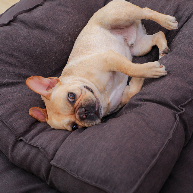 Sleep Well Dog Pillow Bed