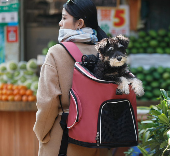 Portable Backpack Carrier For Pets Dogs & Cats