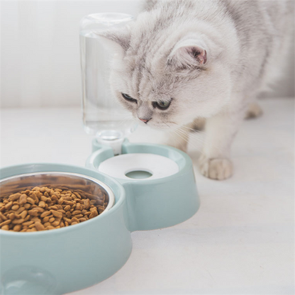 Food & Water Bowl With Automatic Water Refill Bottle