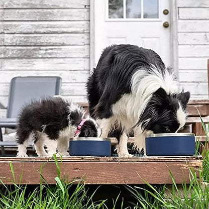 Stainless Steel Pet Food and Water Bowl