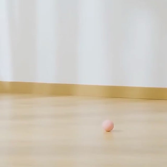 Cat Gravity Intelligent Rolling Ball Tease Toy Pet